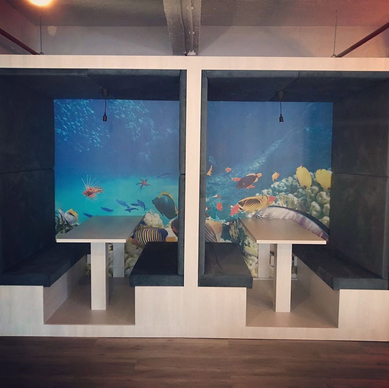 Underwater reef murals lining two office booths
